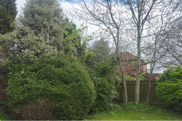 Photo of the back garden at Amberley Care Home