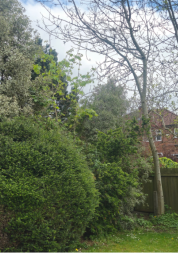 Photo of the back garden at Amberley Care Home
